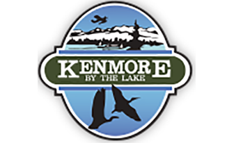 Kenmore Auto Accident Injury